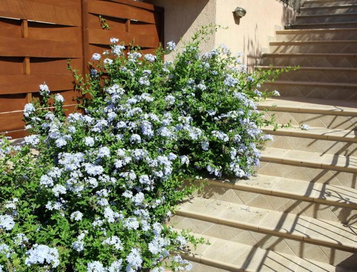 Provenzo And Meliti Villas Lourdata  Luaran gambar